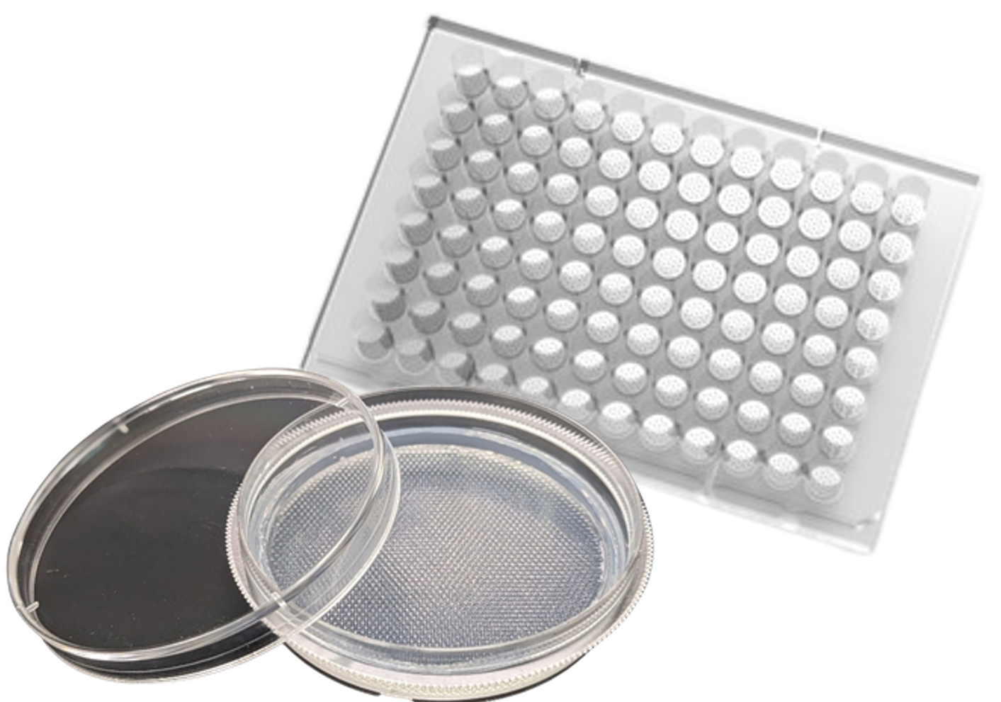 µCell Spheroid Chip